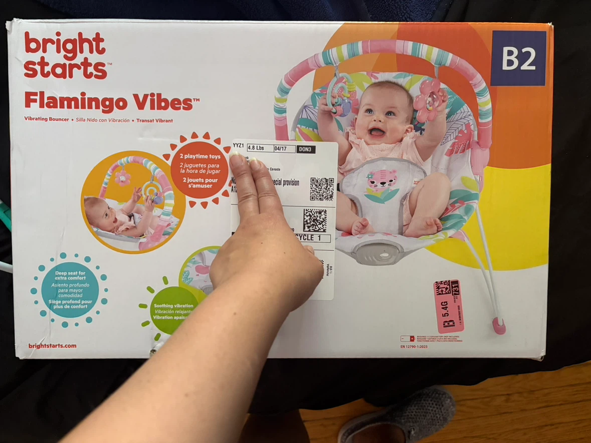 Bright Starts Flamingo Vibes Bouncer