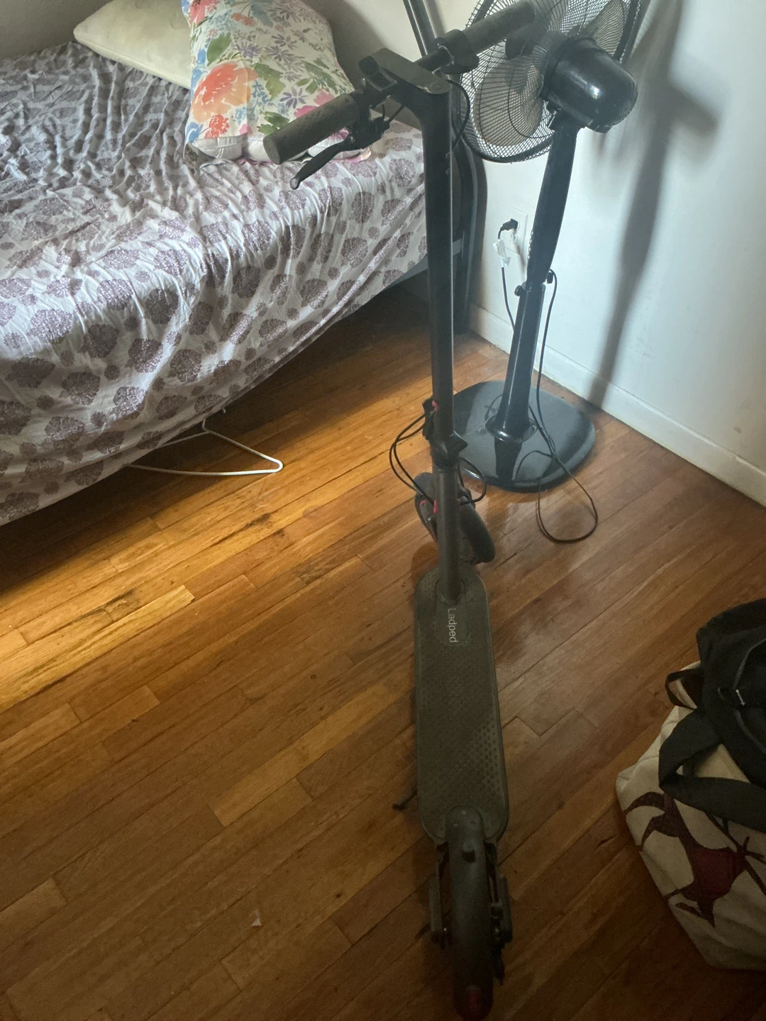 Ladped Electric Scooter