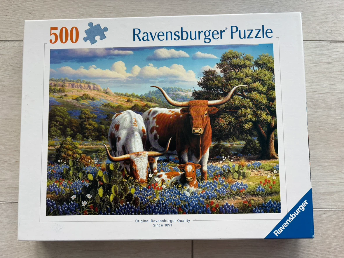 Assorted Puzzles - photo 2