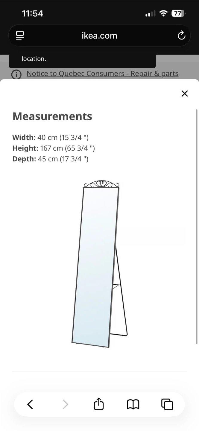 MOVING SALE — IKEA Black Standing Mirror (Karmsund) - photo 3
