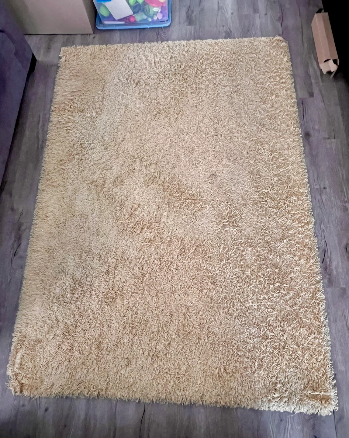 Beige Shag Area Rug 5x7