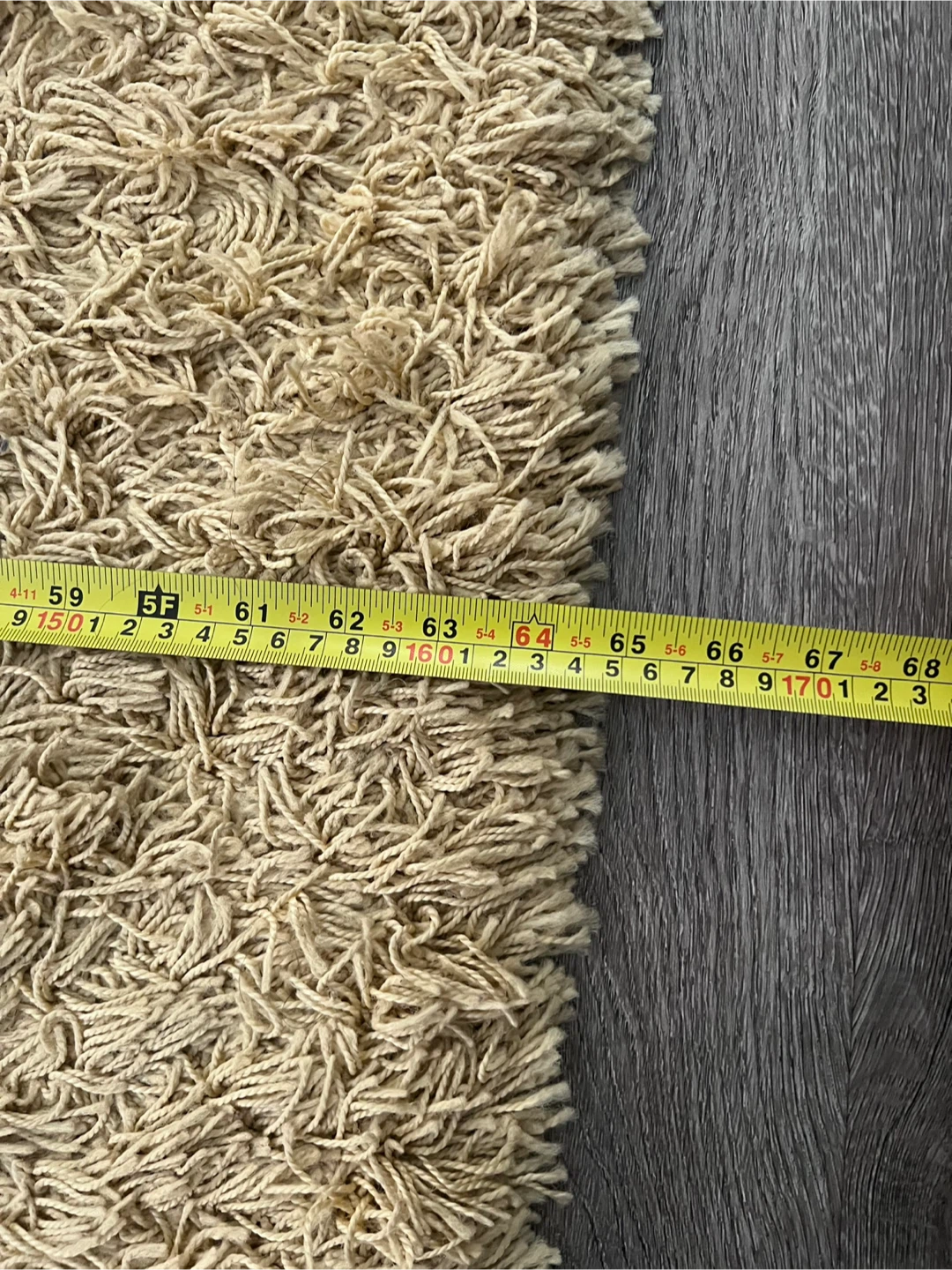 Beige Shag Area Rug 5x7 - photo 3