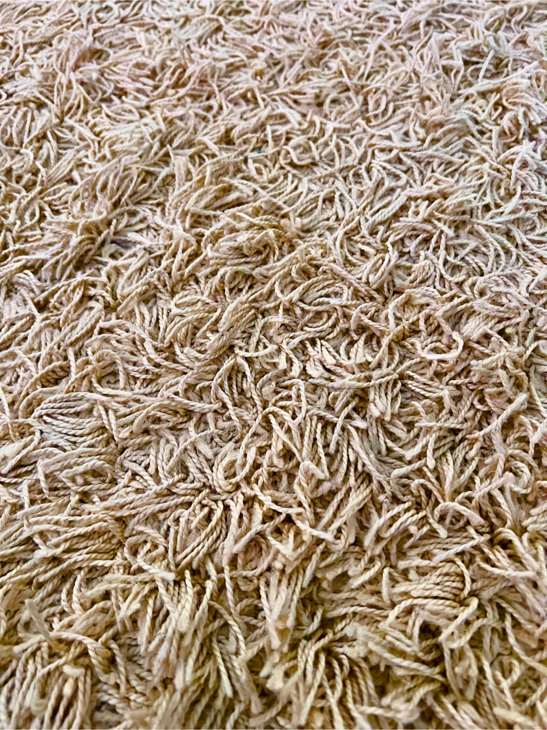 Beige Shag Area Rug 5x7 - photo 4