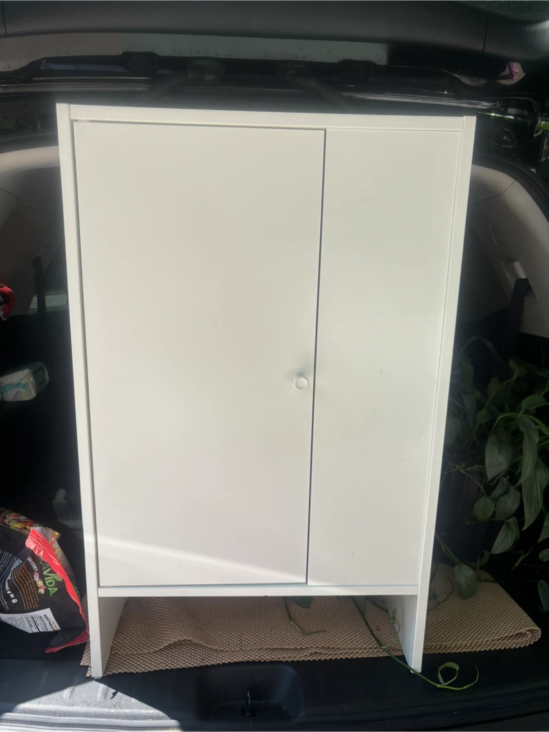 IKEA BAGGEBO Cabinet with Door - White