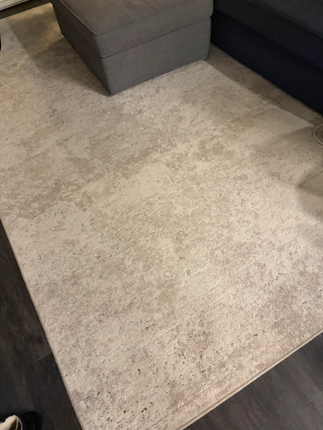 Cream Area Rug - photo 2
