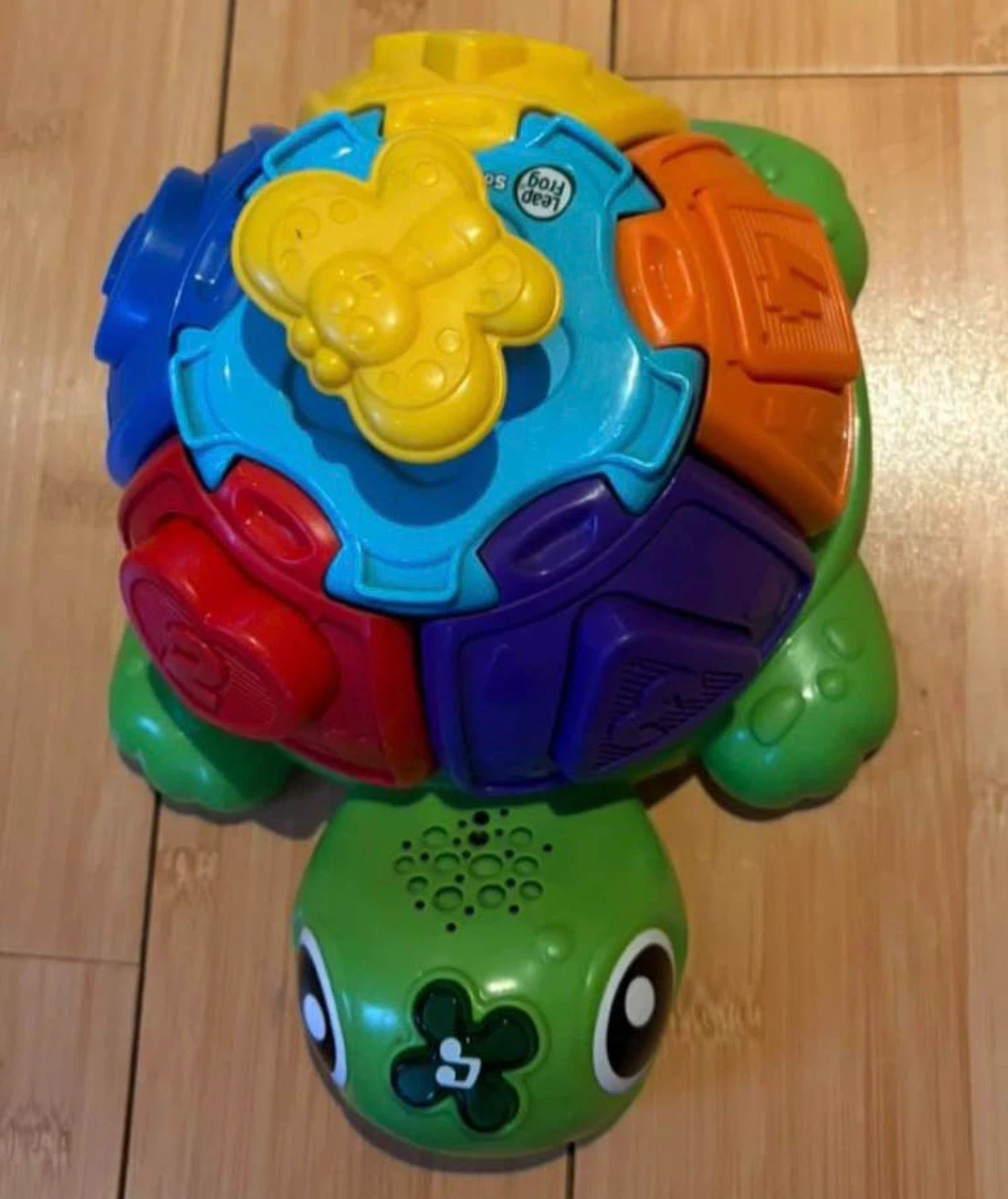 LeapFrog Sorter Turtle Toy