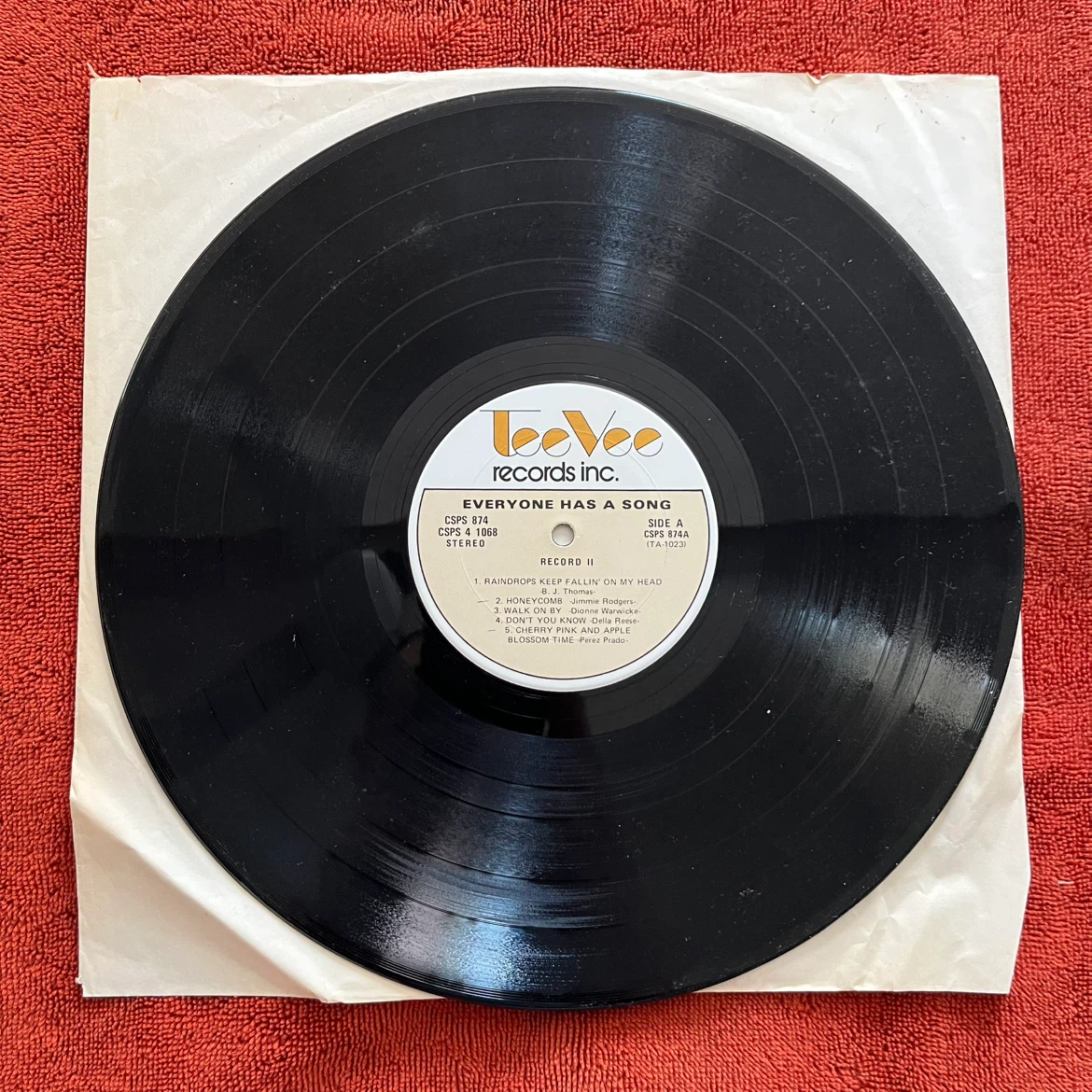 Everyone Has A Song Original Hits Vinyl Record Album - photo 2