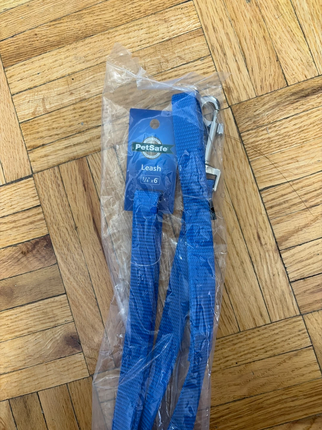 PetSafe Blue Leash 3/4" x 6'