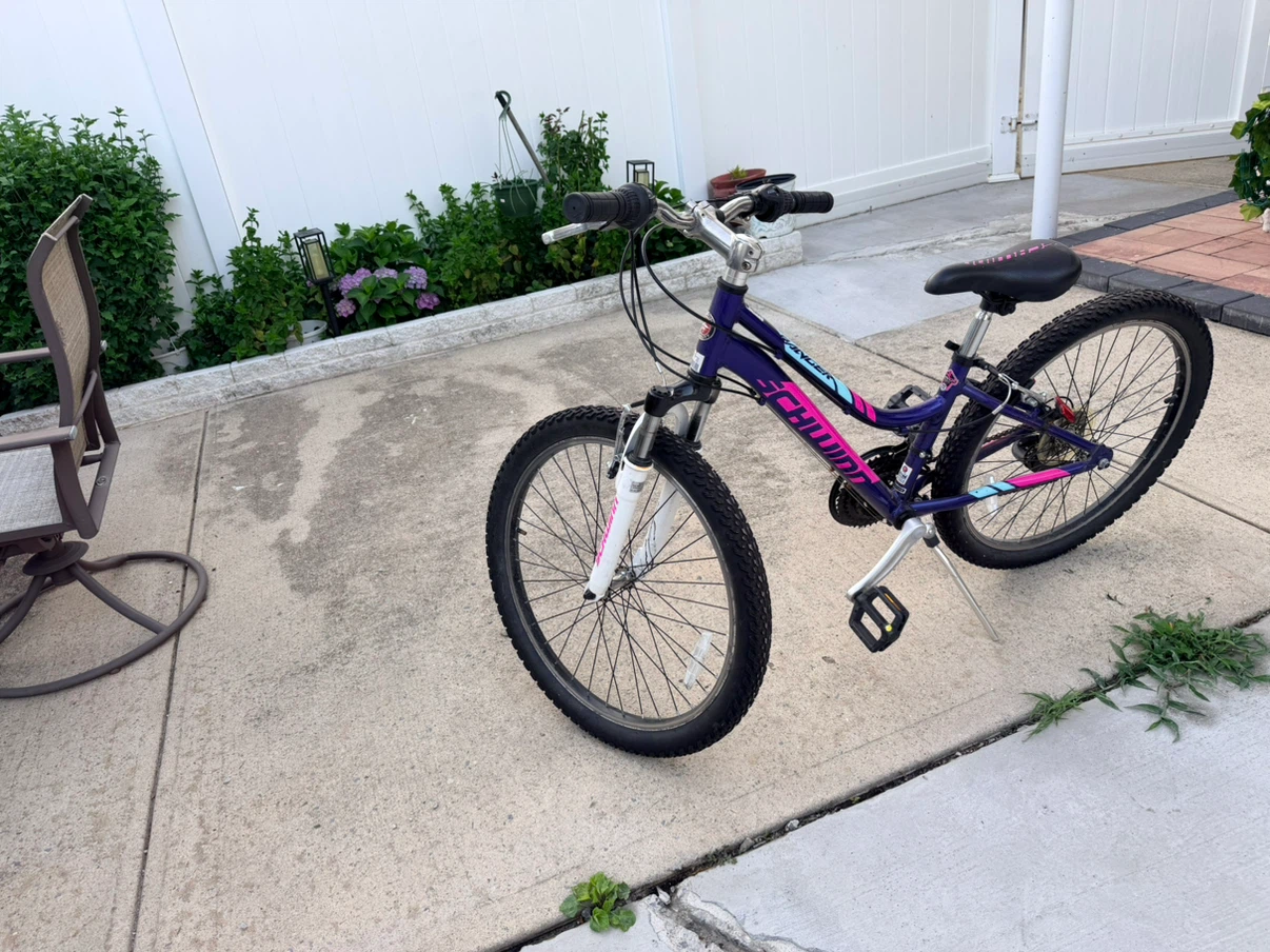Schwinn Kids Bicycle - photo 5