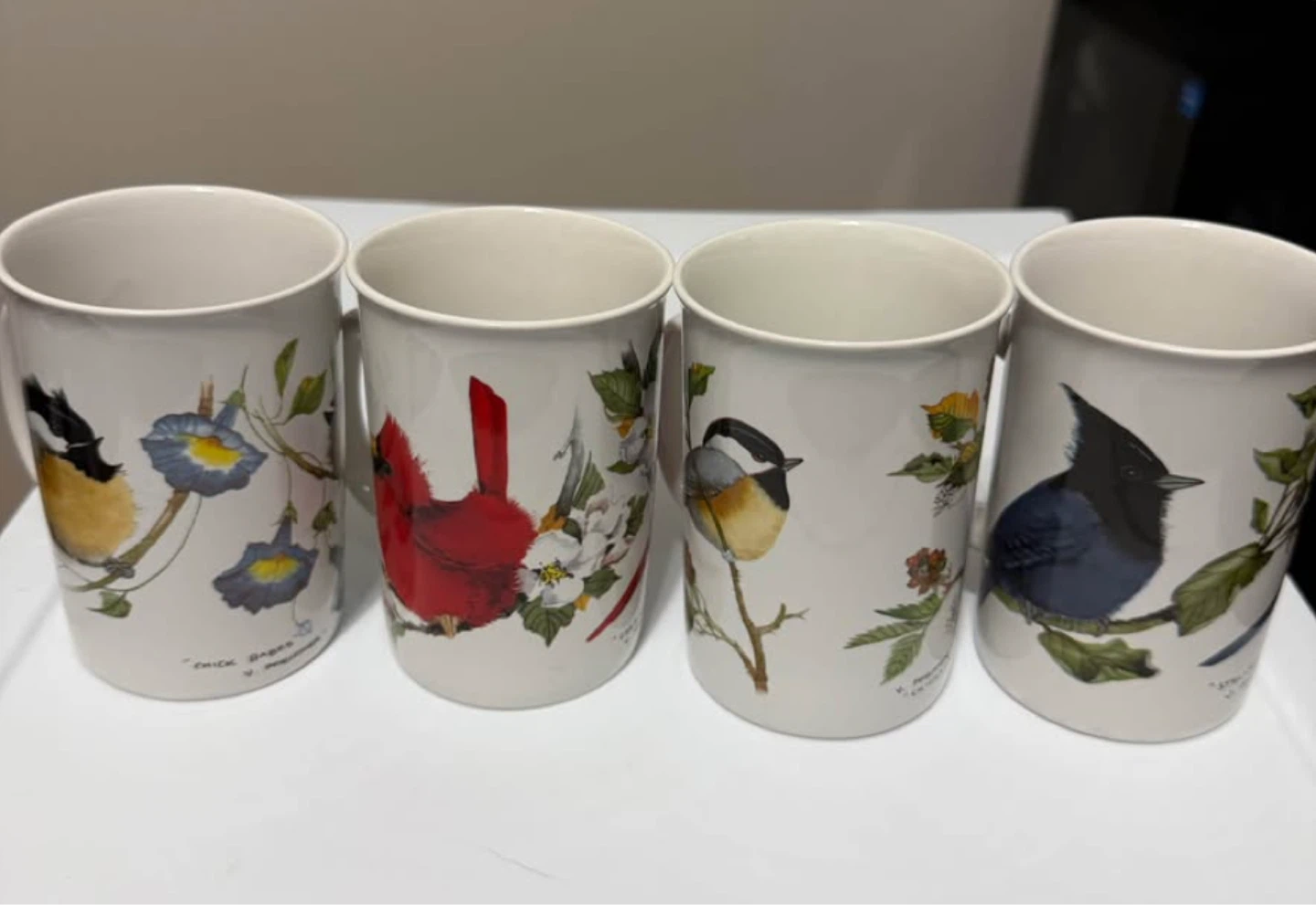 Set Of 4 Capilano Birds Coffee Mugs – Valerie Pfeiffer