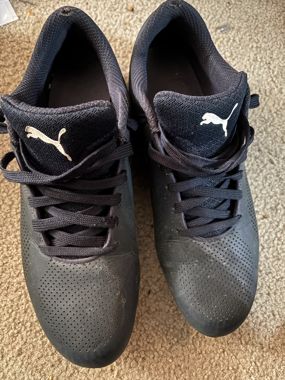Puma BMW Motorsport Sneakers
