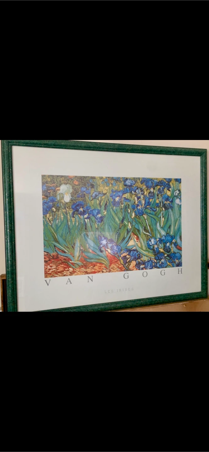 Van Gogh "Les Iris" Framed Print