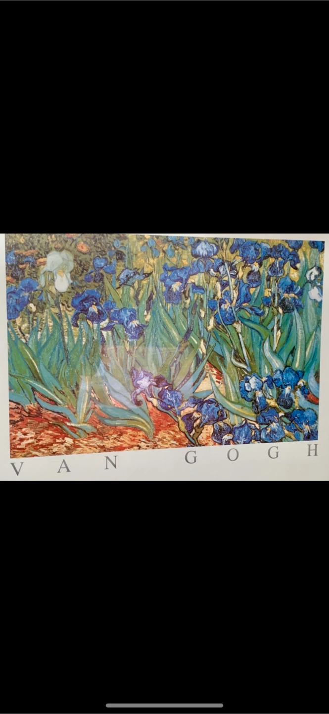 Van Gogh "Les Iris" Framed Print - photo 2
