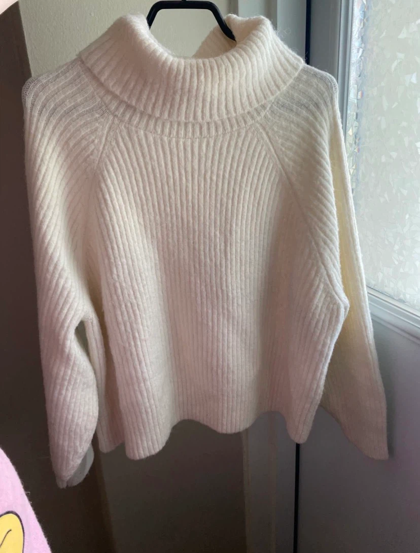Cream Turtleneck Sweater 2X