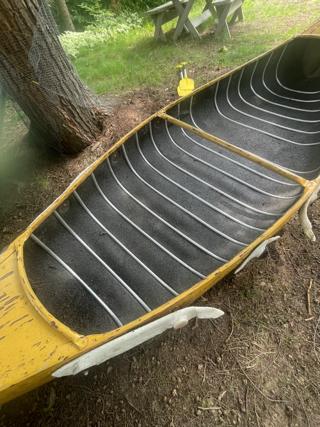 Yellow Canoe PICKUP LOCATION MCKELLAR - photo 4