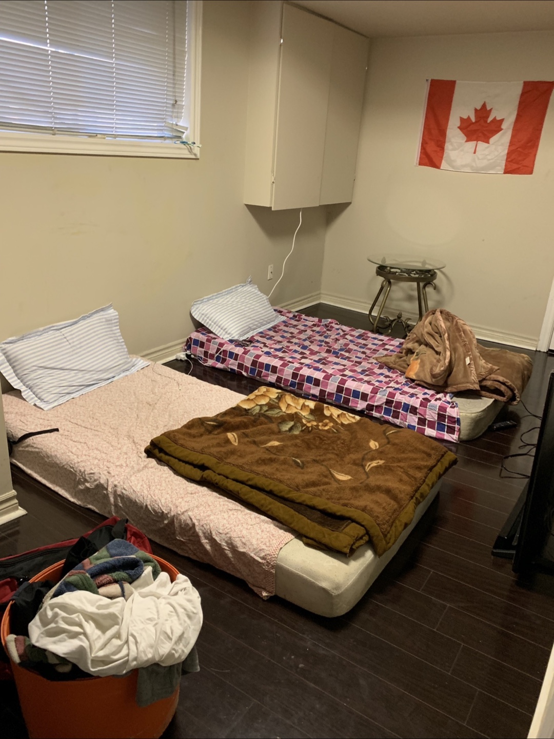 Upper Level Room for Rent. Kennedy/Bovaird