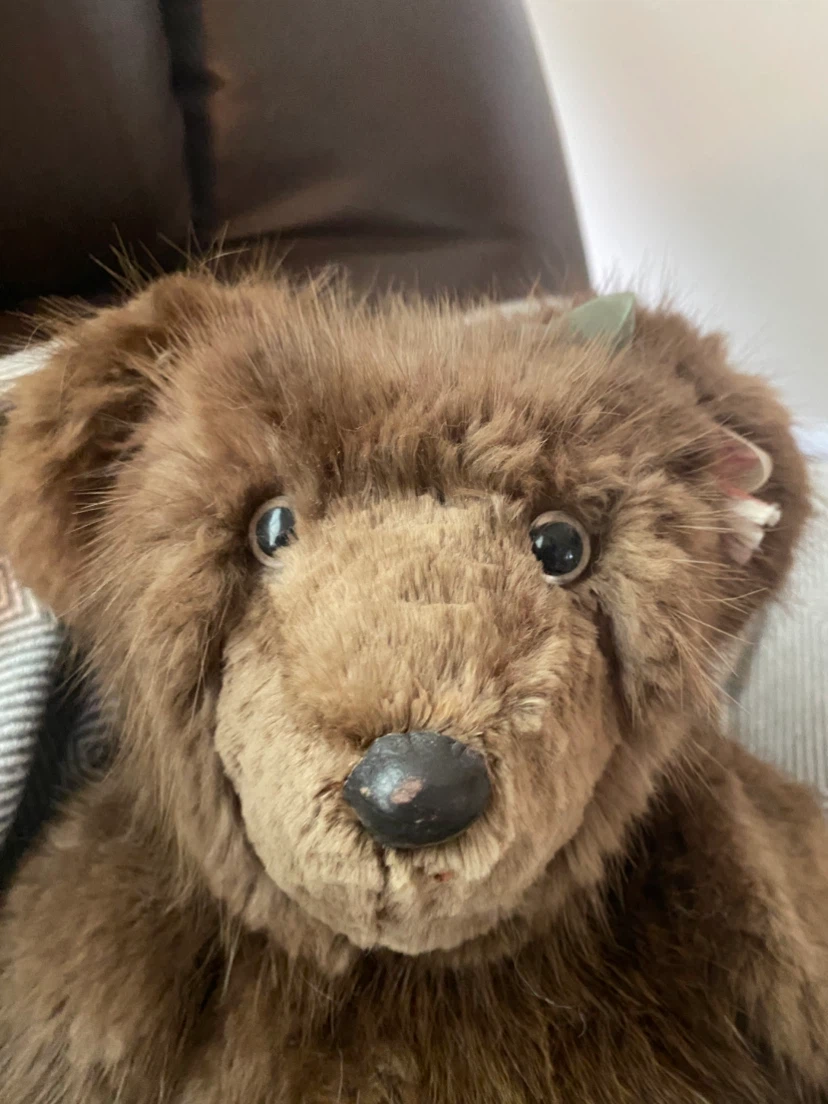 Vintage Teddy Bear - photo 2