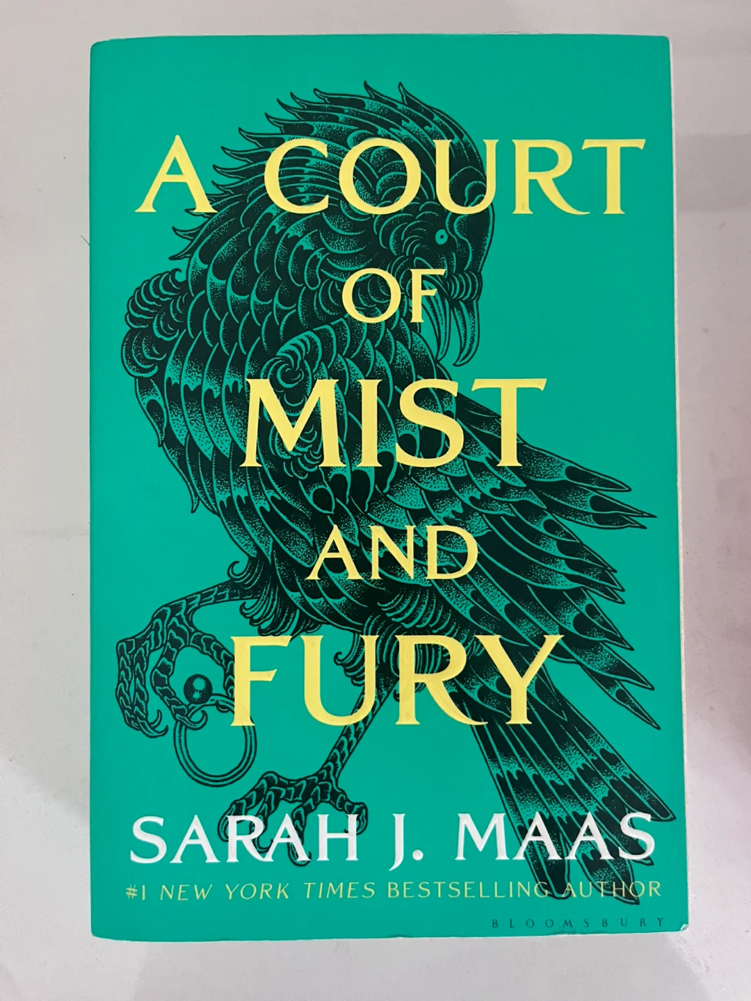 A Court of Thorns and Roses series by Sarah J. Maas - photo 5