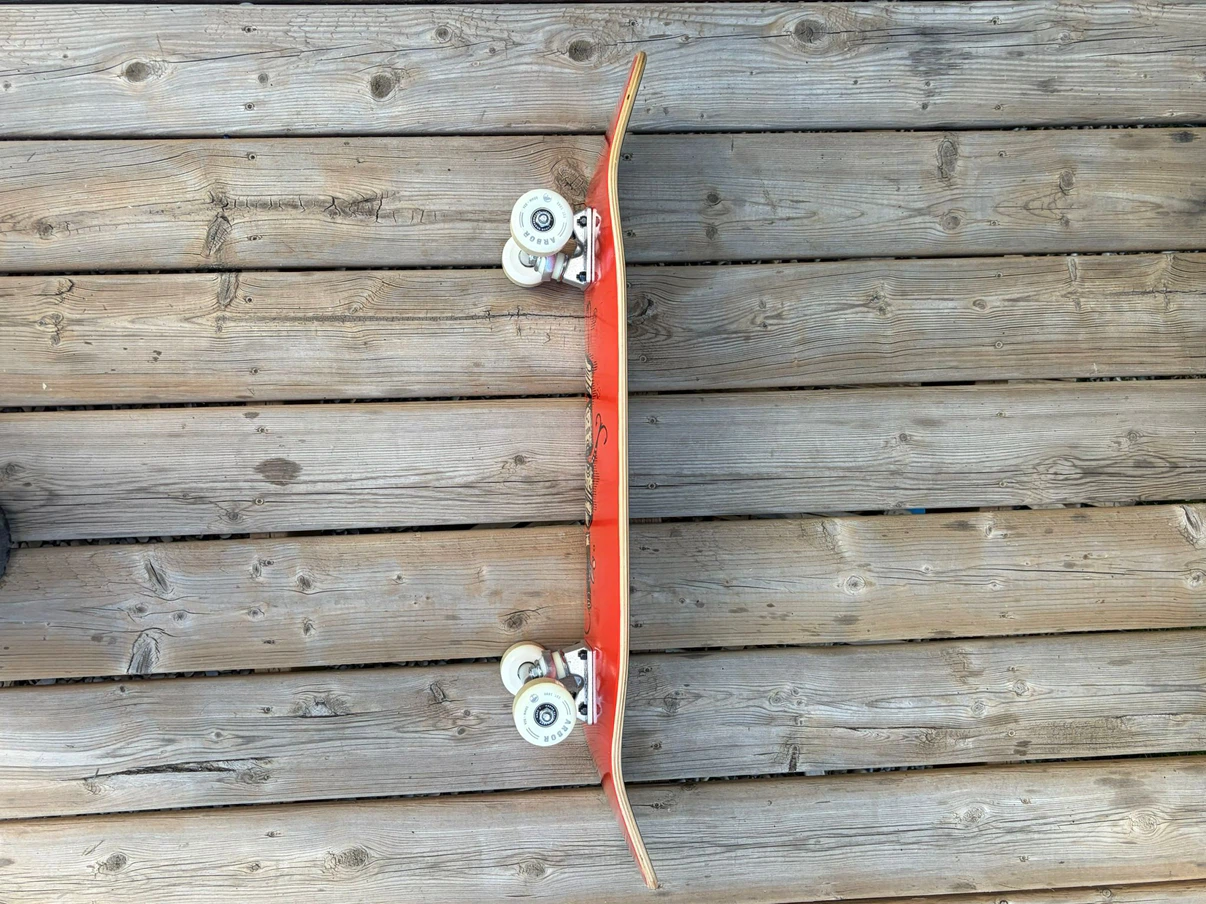 Arbor Skateboards Skateboard - photo 3