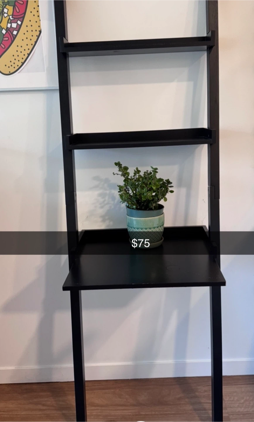 Lakeview Moving sale - photo 4