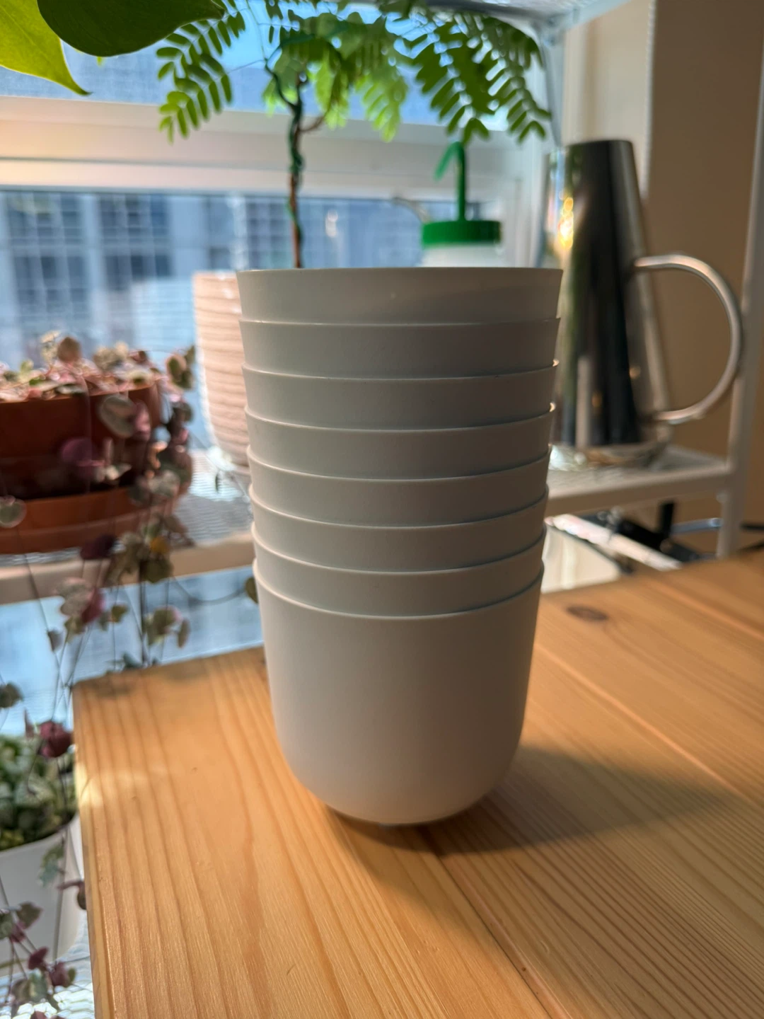 9 x 4” plastic plant pot / washed 🧼