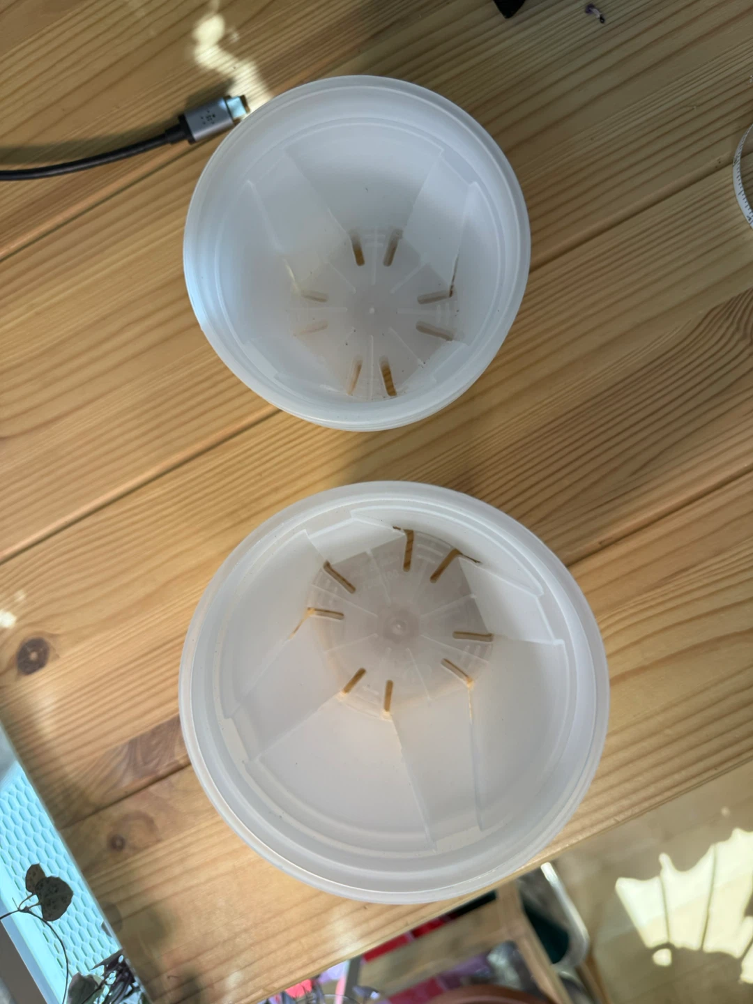 Set of 6 clear nursery pots- 4.5 and 4 in - photo 2