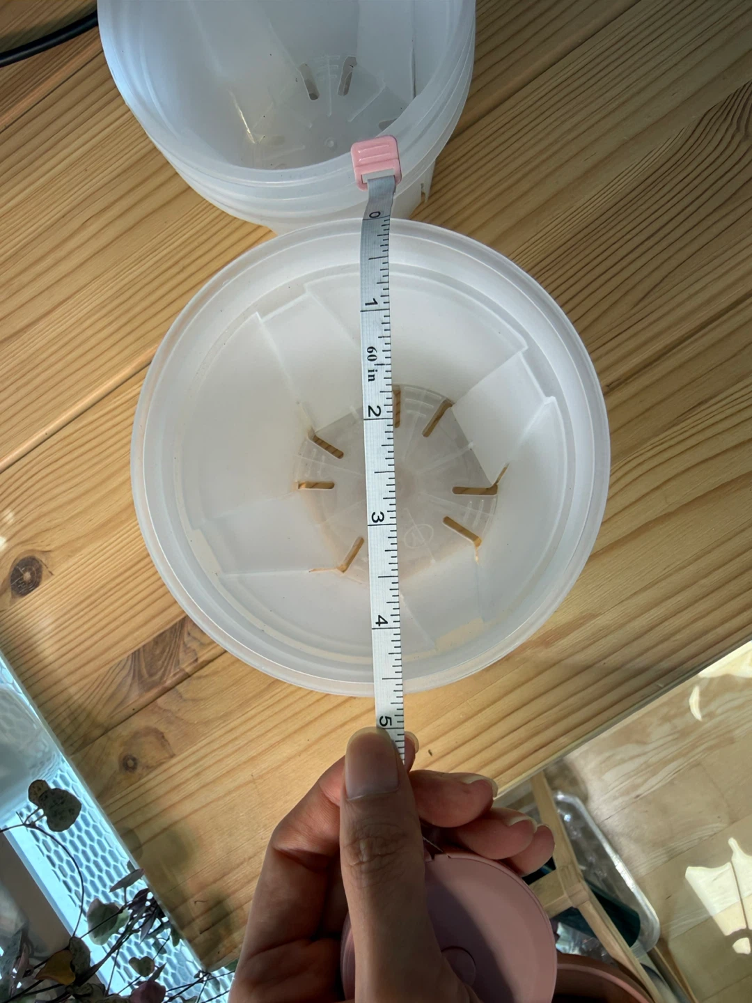 Set of 6 clear nursery pots- 4.5 and 4 in - photo 3