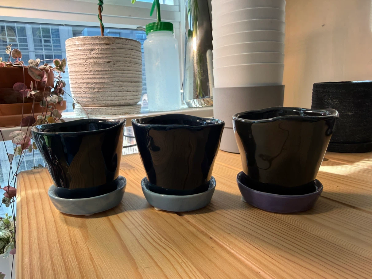 Set of 4 Ceramic Plant Pots with Saucers - 3 in
