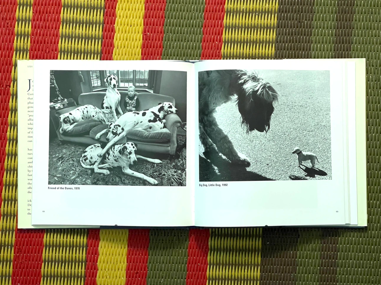 Our Peaceable Kingdom: The Photographs of John Drysdale Book - photo 2