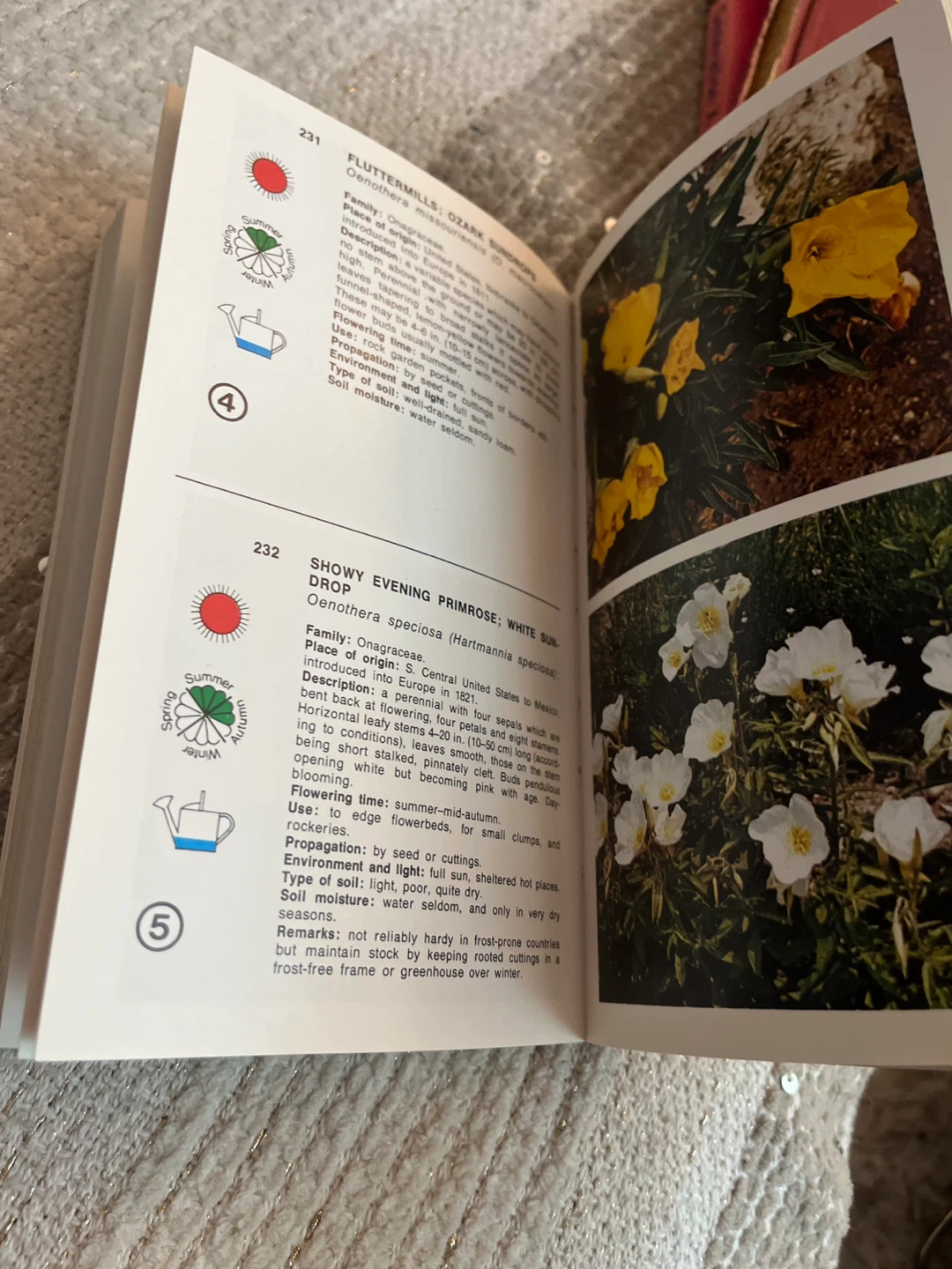 Simon & Schuster's Complete Guide to Plants and Flowers Book - photo 5