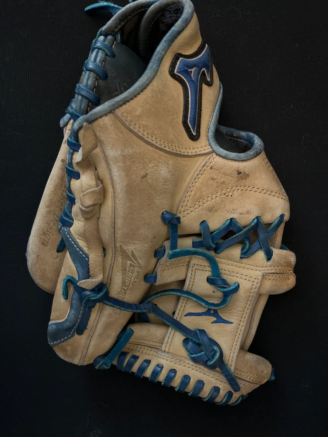 Mizuno Infield Baseball Glove