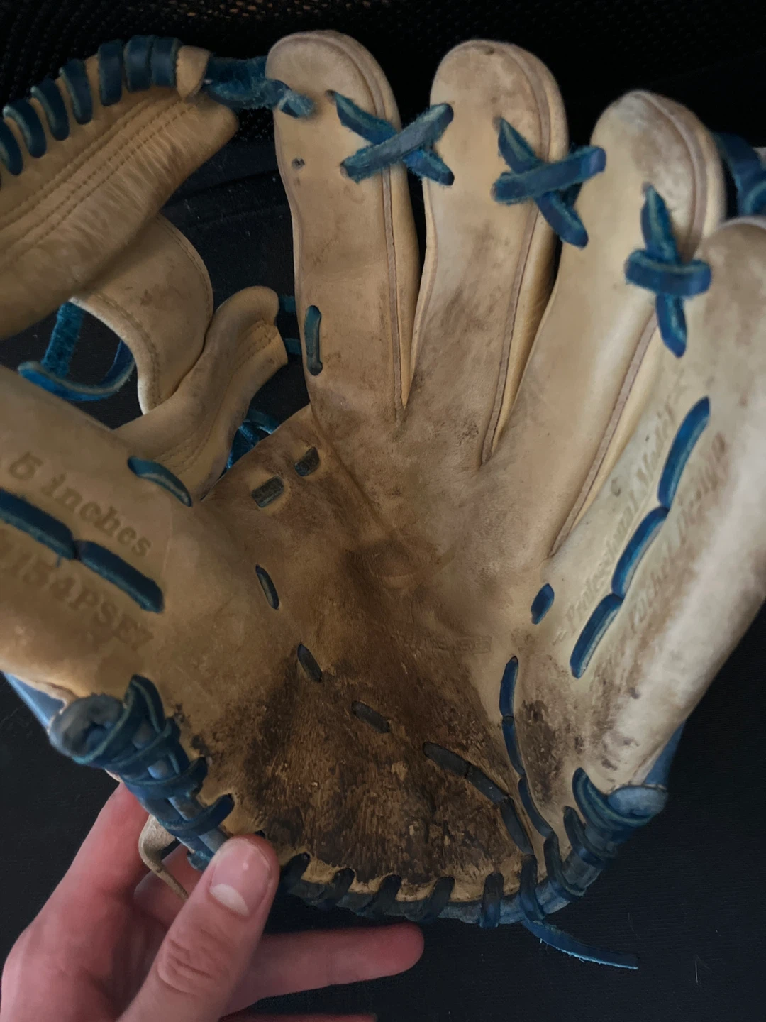 Mizuno Infield Baseball Glove - photo 3