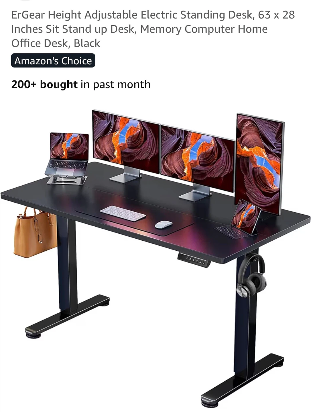 ErGear Height Adjustable Electric Standing Desk 63x28 Black