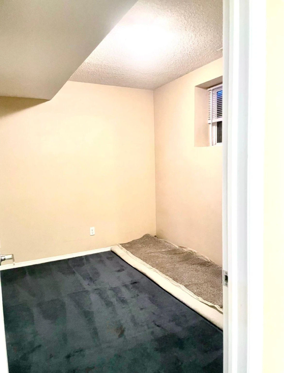 Basement for rent in NE Calgary - photo 4