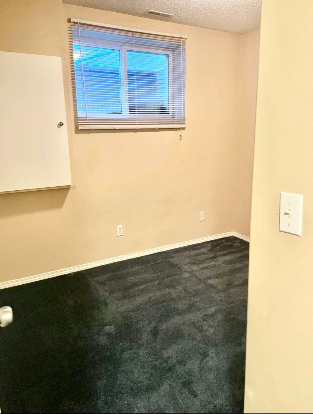 Basement for rent in NE Calgary - photo 3