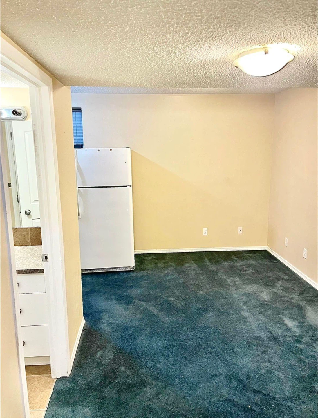 Basement for rent in NE Calgary - photo 2