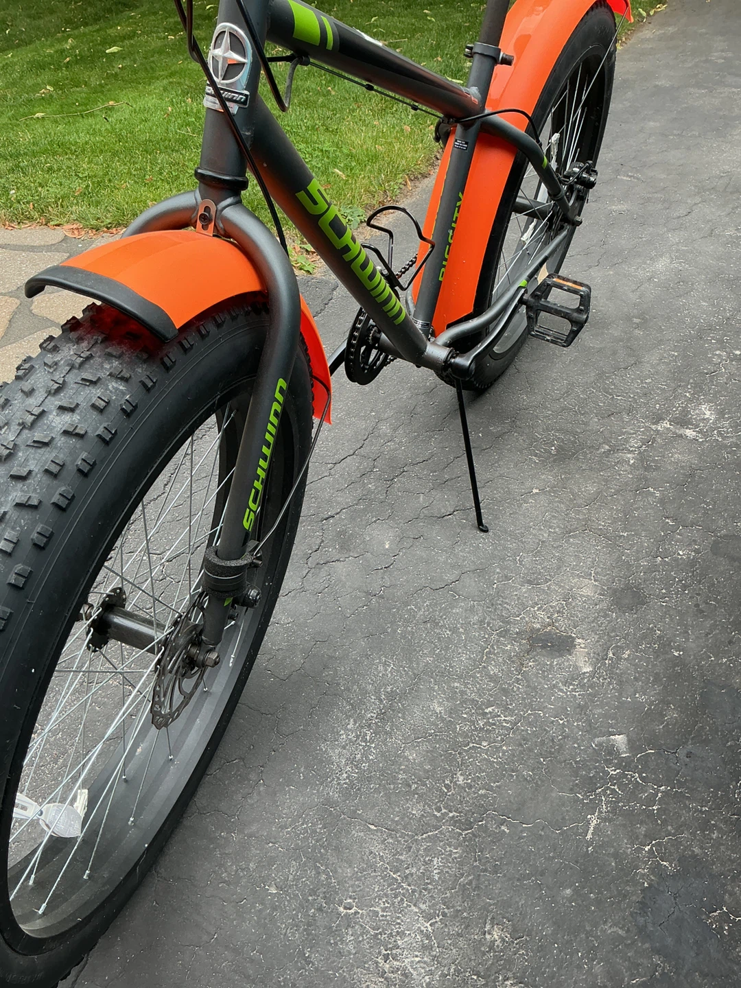 Fat Bike - photo 5