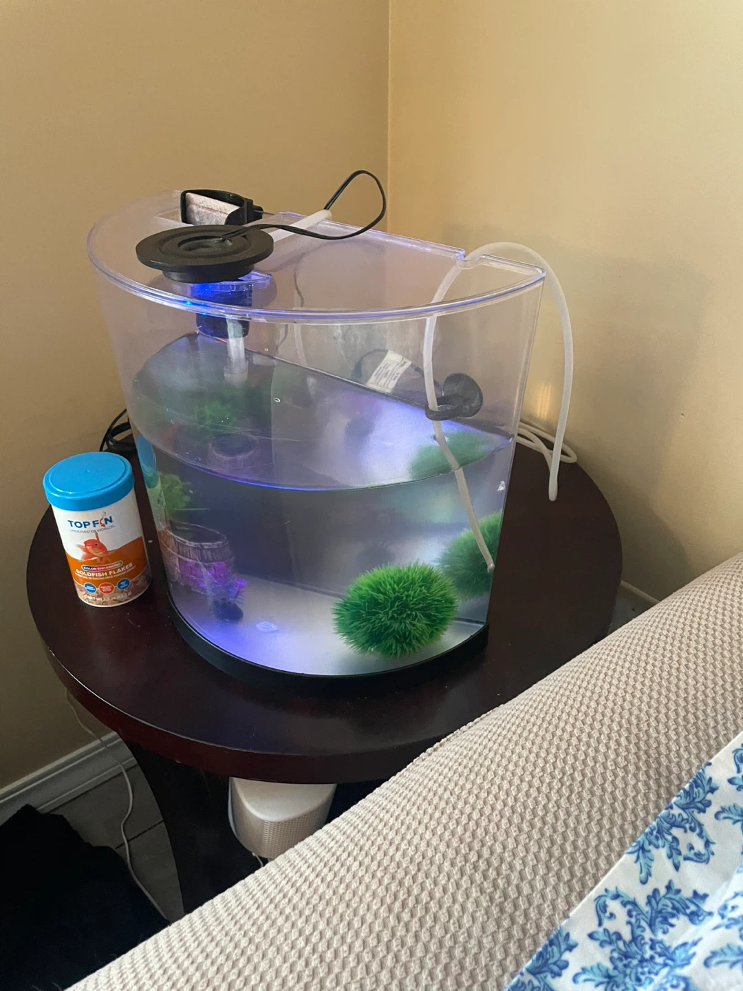 Goldfish Aquarium Setup – $30 OBO - photo 2
