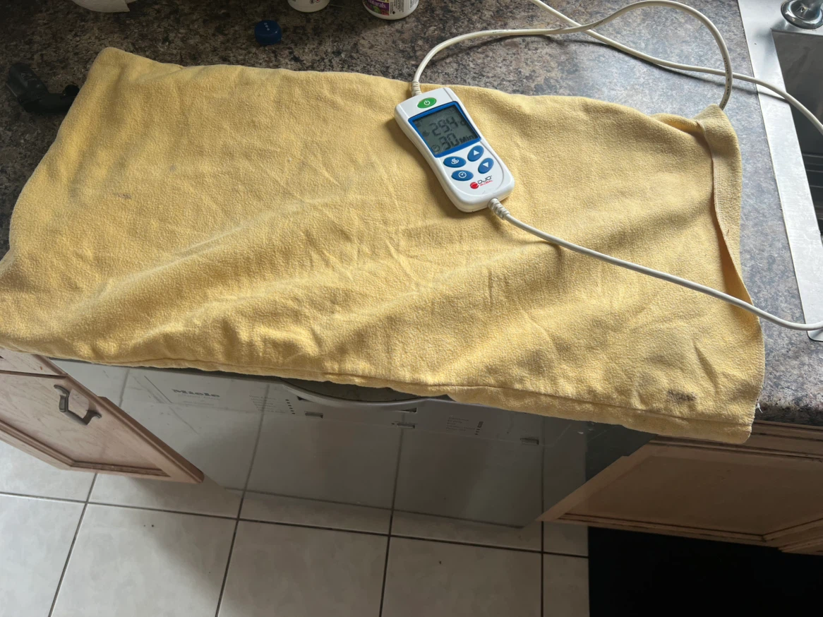 DJO Global Heat Therapy Pad