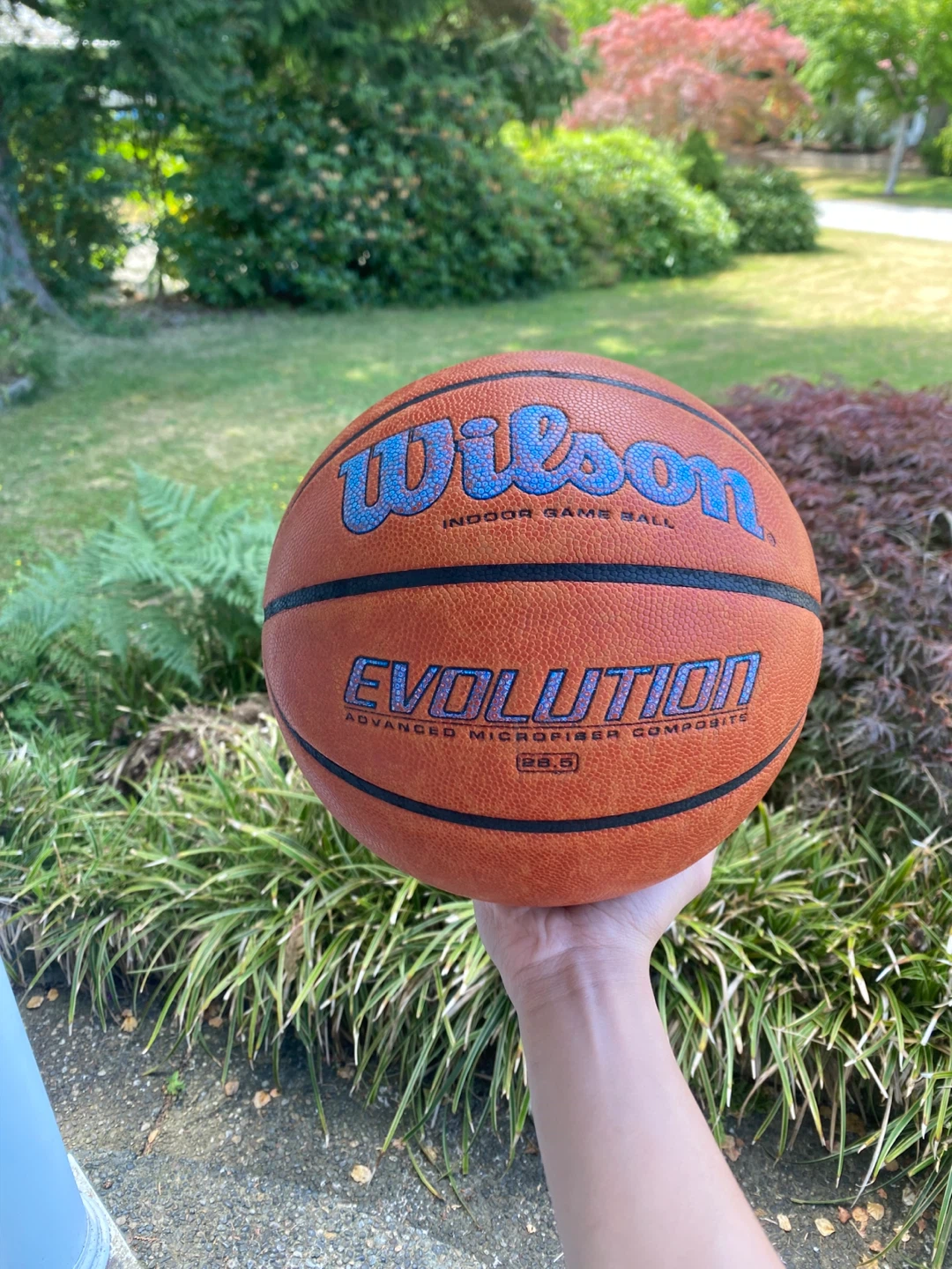 Wilson Evolution Indoor Game Ball