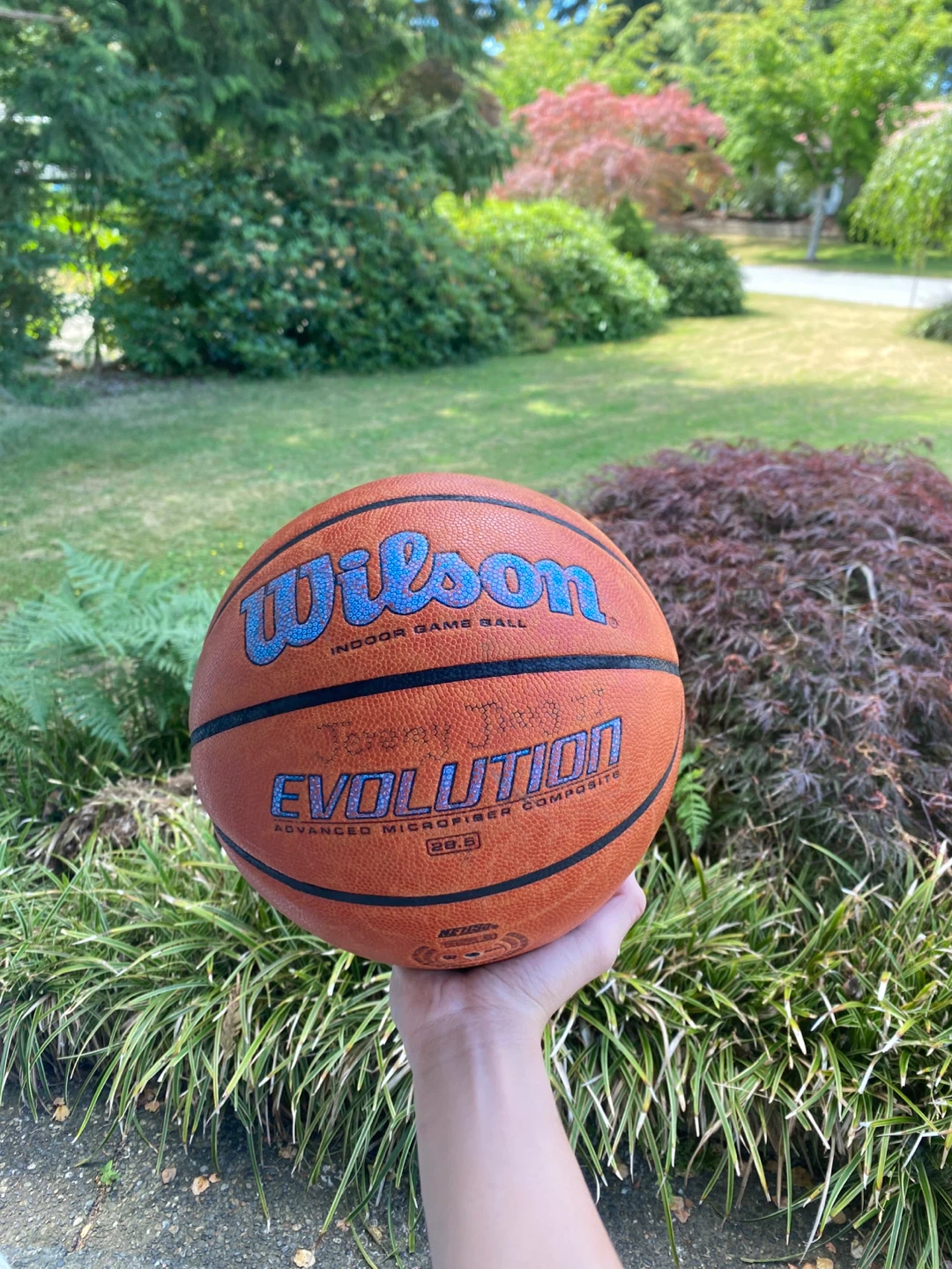 Wilson Evolution Indoor Game Ball - photo 2