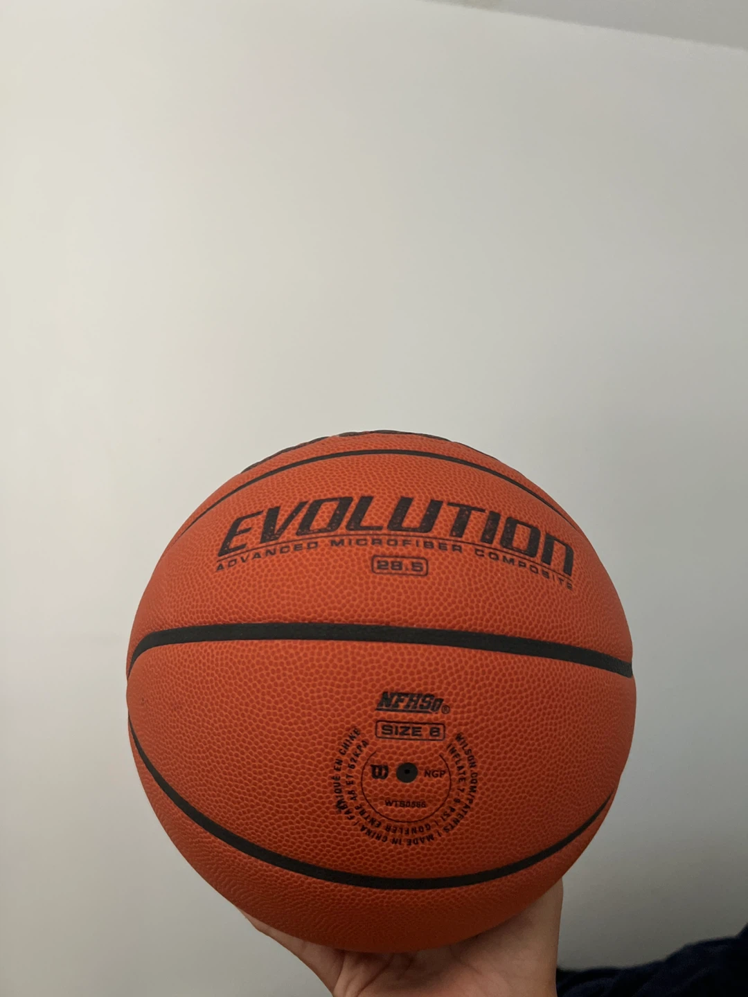 Wilson Evolution Basketball Size 8