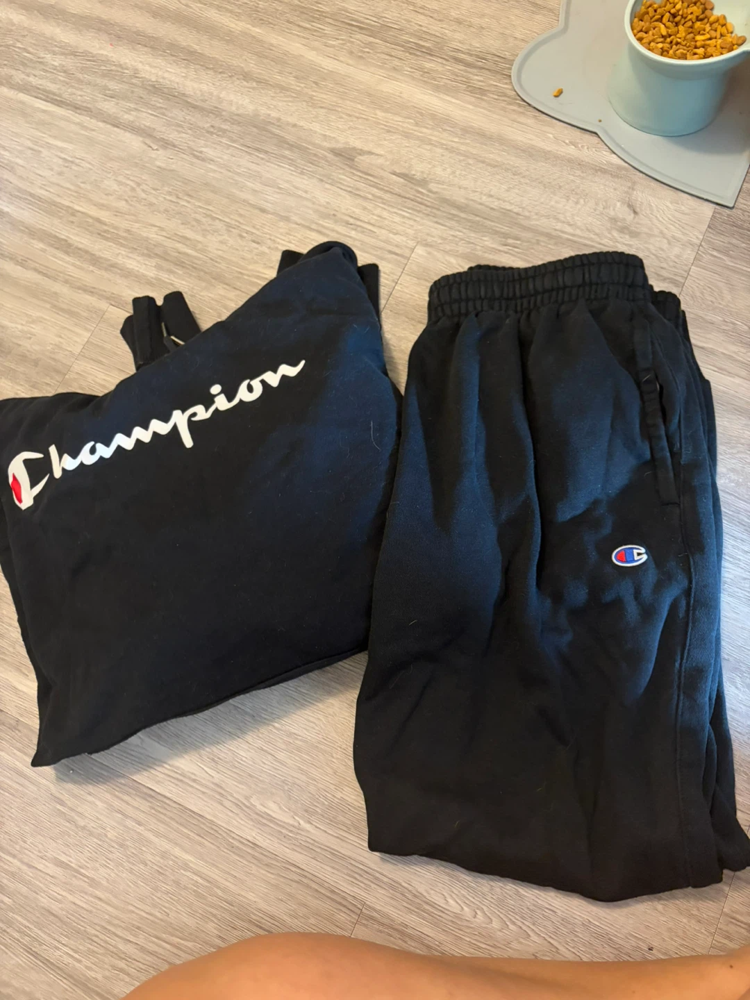Champion Authentic Athleticwear Hoodie and Sweatpants Set