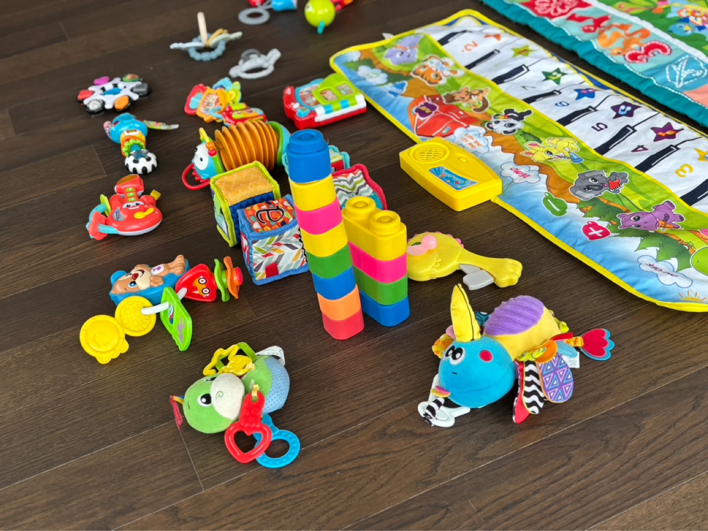Baby Play Mat and Toy Bundle