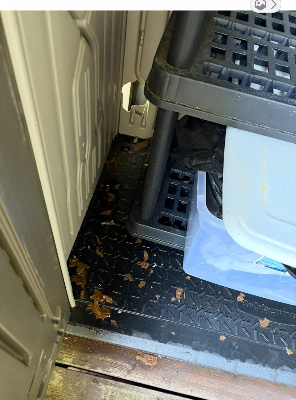 Rubbermaid Storage Cabinet - photo 3