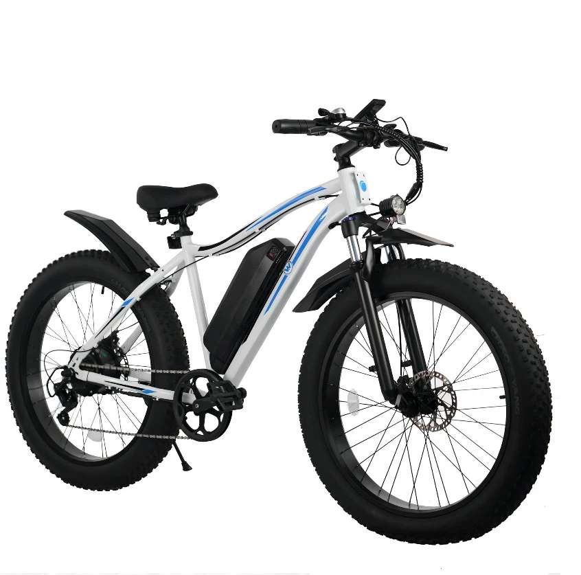 White Fat Tire Electric Bike