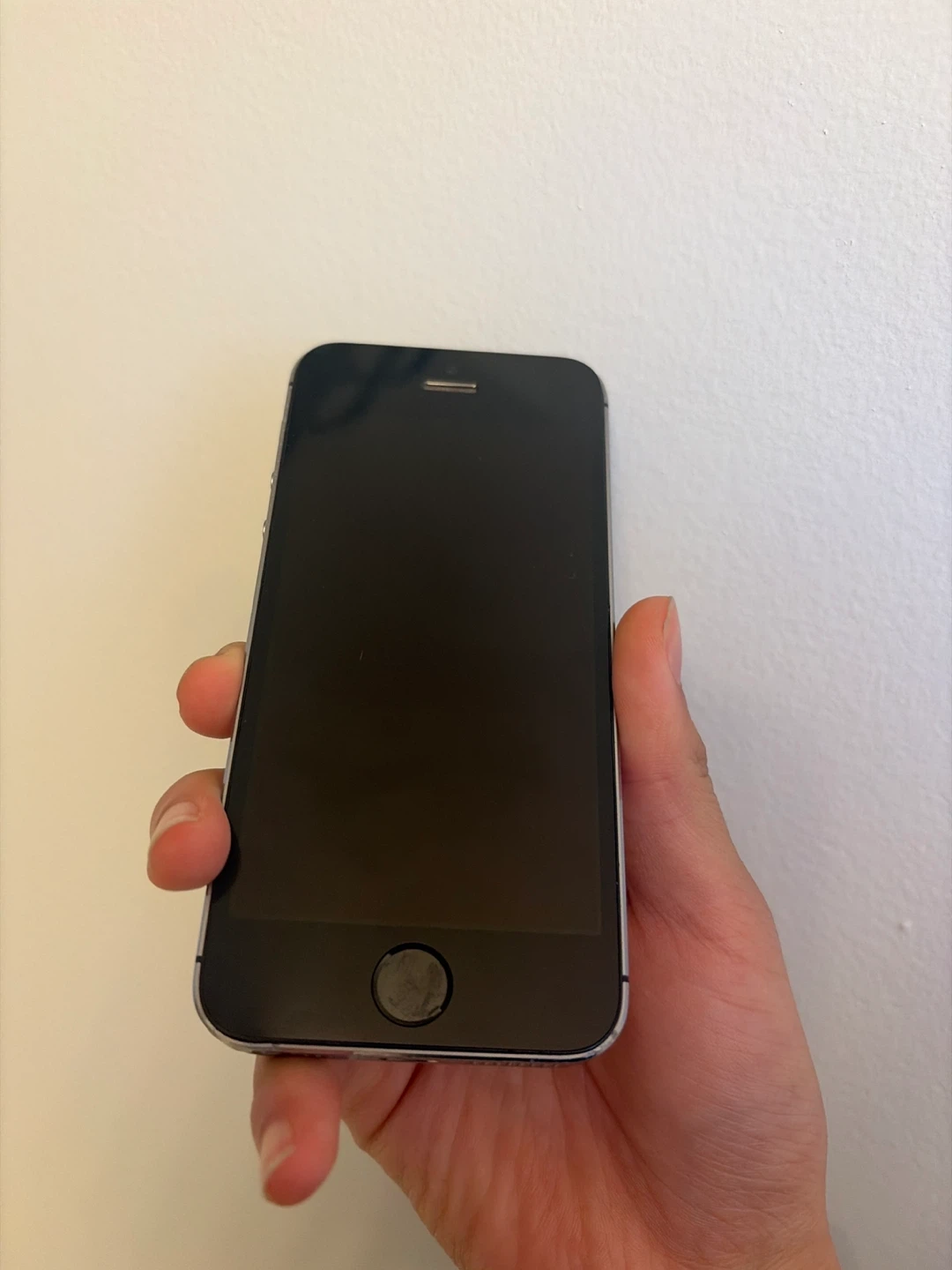 Apple iPhone 5S - space gray - photo 2