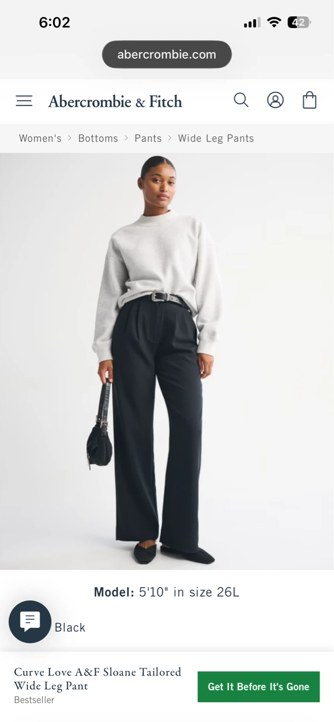 Abercrombie & Fitch Curve Love Wide Leg Trousers - Size 6 - photo 4