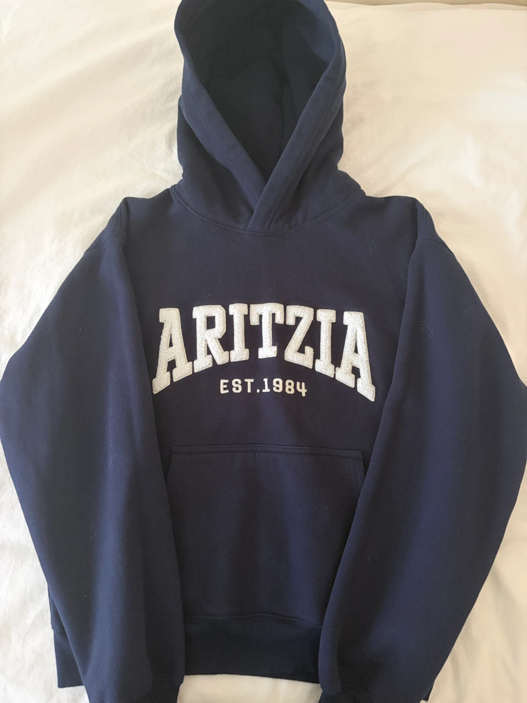 Aritzia Navy Sweatshirt Hoodie