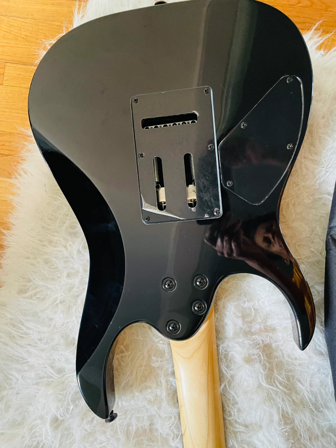 Ibanez Electric Guitar Gig Bag - photo 3
